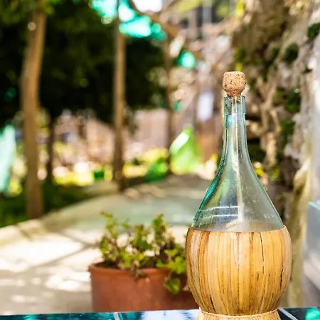 Casa Primula Hébergement de vacances *