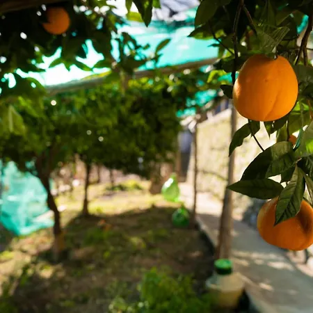 Casa Primula Amalfi